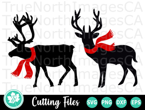 Christmas SVG | Reindeer With Scarves SVG TrueNorthImagesCA 