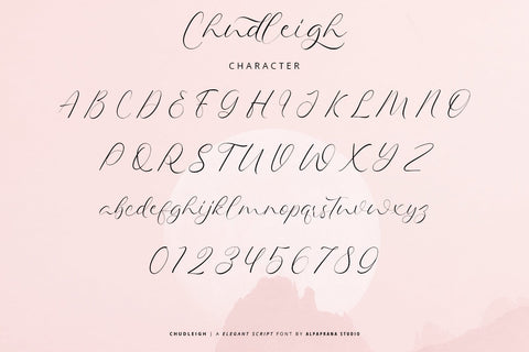 Chudleigh - Script Font Font Alpaprana Studio 