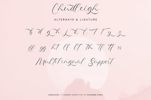 Chudleigh - Script Font Font Alpaprana Studio 