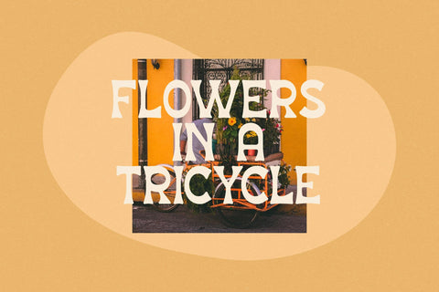 CHUMI CHAMI Typeface Font Storytype Studio 