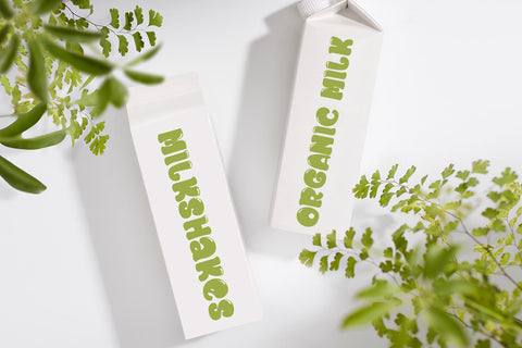 Chunky Spinach Family Font JH-CreativeFont 