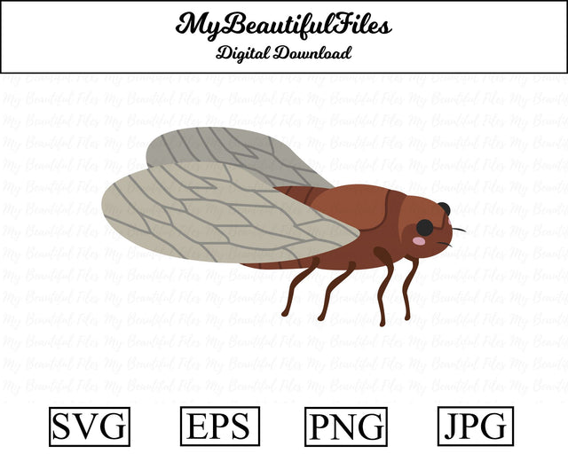 cicadidae - insect SVG MyBeautifulFiles 