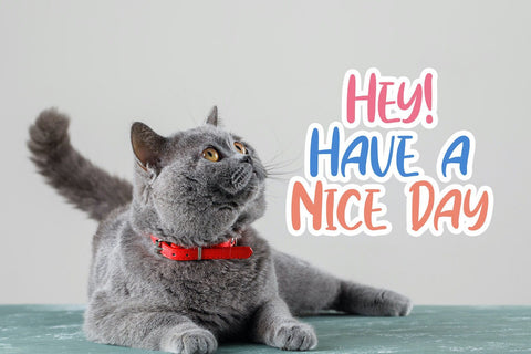 Cindyrella - Playful Display Font Font StringLabs 