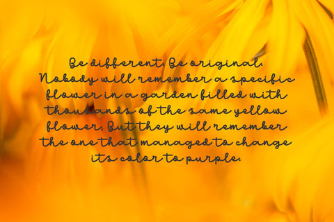 Cinthia Font Almaz Studio™ 