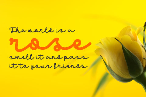 Cinthia Font Almaz Studio™ 