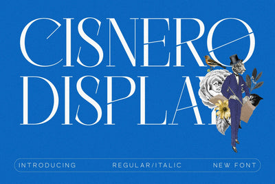 Cisnero Typeface Font Storytype Studio 
