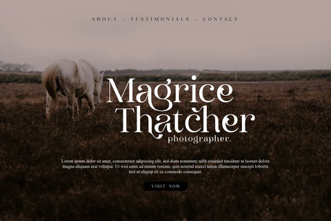 Clarine Typeface Font Storytype Studio 