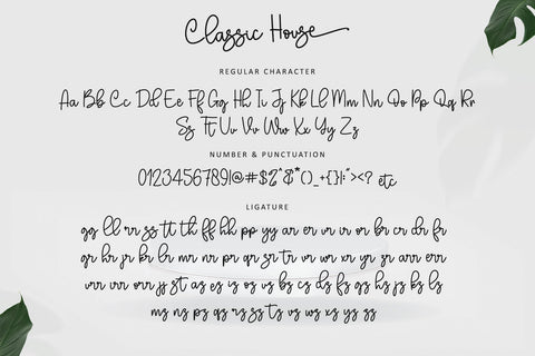 Classic House Font Letterara 