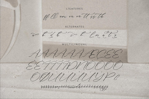 Classthy Theriond - Chic Calligraphy Font Storytype Studio 