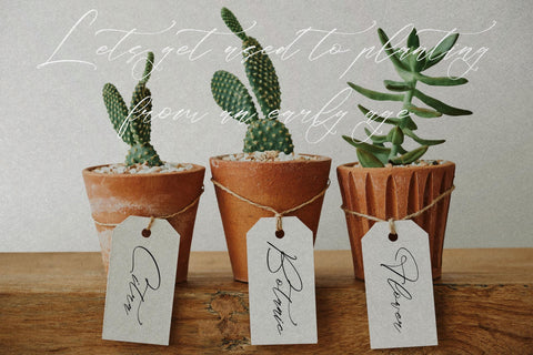 Classthy Theriond - Chic Calligraphy Font Storytype Studio 