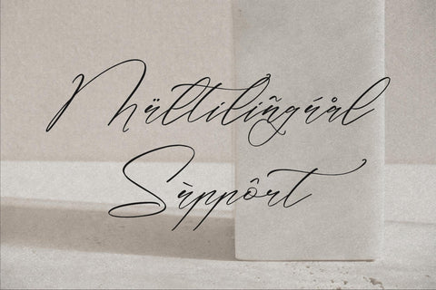 Classthy Theriond - Chic Calligraphy Font Storytype Studio 