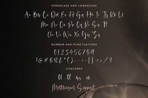 Classy Feathers - Handwritten Script font Font Timur type 