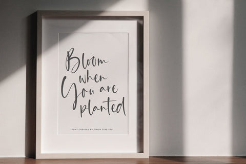 Classy Feathers - Handwritten Script font Font Timur type 