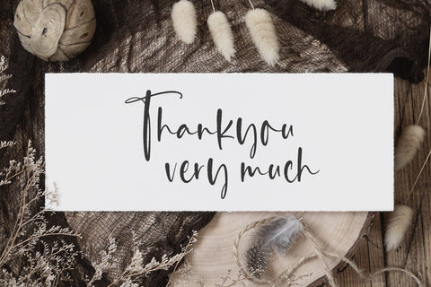 Classy Feathers - Handwritten Script font Font Timur type 