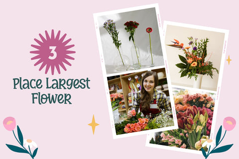 Classy Flowers - a Quirky Serif Font Font nhfonts 