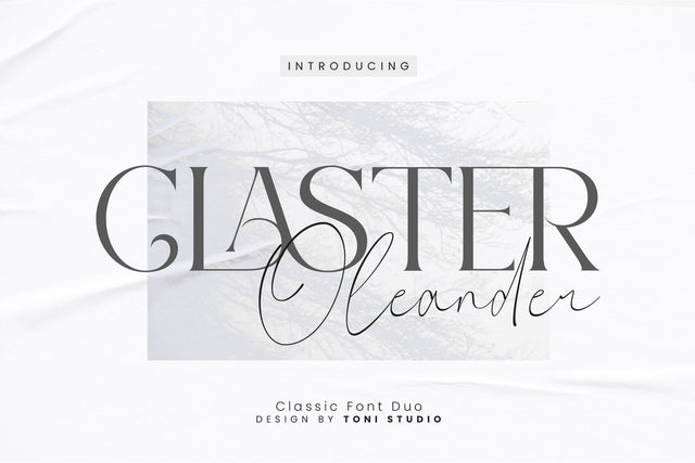 Claster Oleander Font Duo Font toni_std 