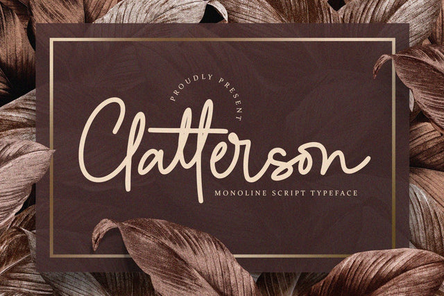 Clatterson - Monoline Script Font Alpaprana Studio 
