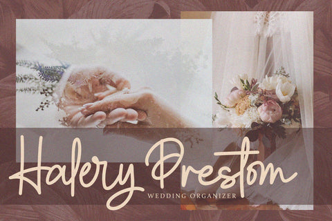 Clatterson - Monoline Script Font Alpaprana Studio 