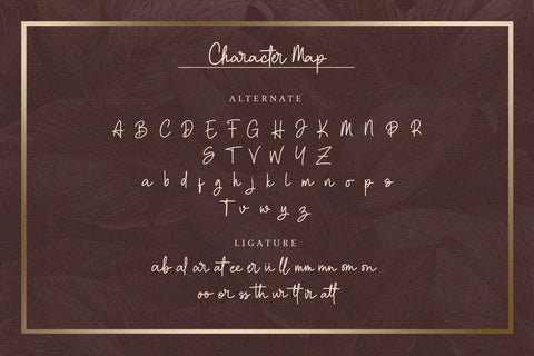Clatterson - Monoline Script Font Alpaprana Studio 