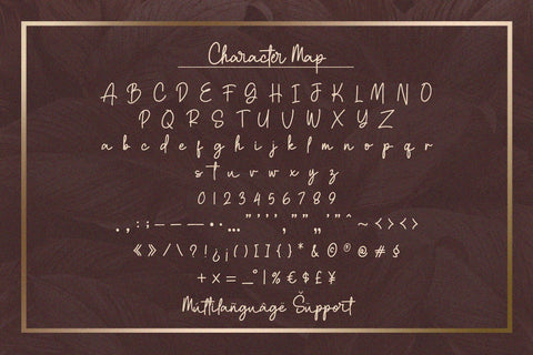 Clatterson - Monoline Script Font Alpaprana Studio 