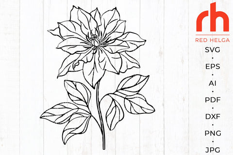 Clematis svg - Summer flower svg - Clematis silhouette SVG RedHelgaArt 