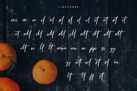 Clementine Script Font VPcreativeshop 