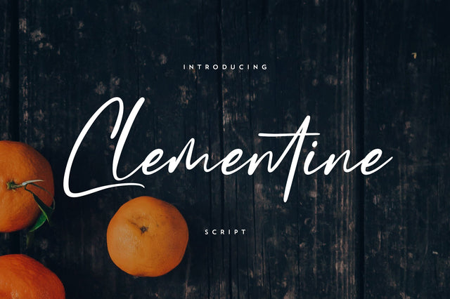 Clementine Script Font VPcreativeshop 