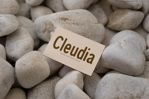 Cleudia Typeface Font Storytype Studio 