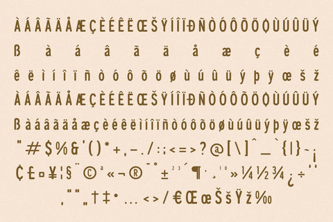 Cleudia Typeface Font Storytype Studio 