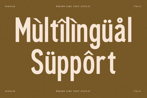 Cleudia Typeface Font Storytype Studio 