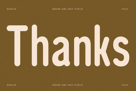 Cleudia Typeface Font Storytype Studio 