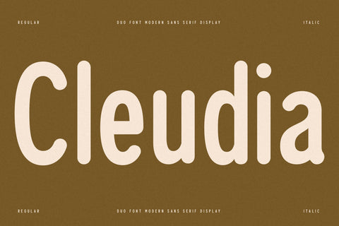 Cleudia Typeface Font Storytype Studio 