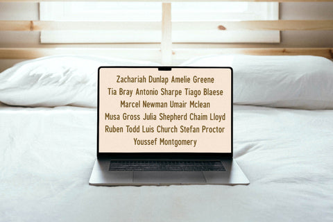 Cleudia Typeface Font Storytype Studio 