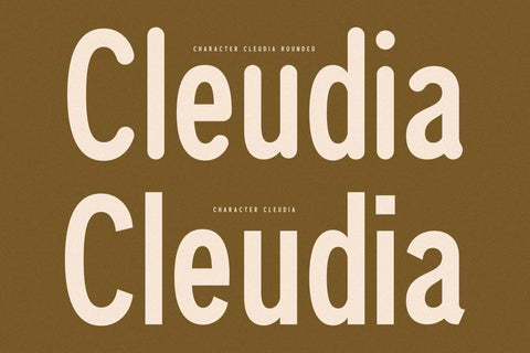 Cleudia Typeface Font Storytype Studio 