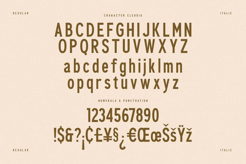 Cleudia Typeface Font Storytype Studio 