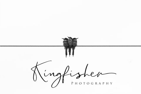 Cllarin - Modern Script Font Font Dm Letter Studio 