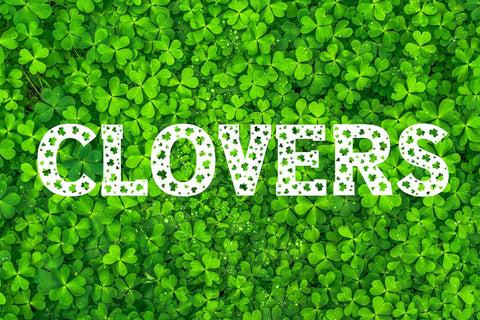 Clover Love - Saint Patrick's Day Font Font ampersand 