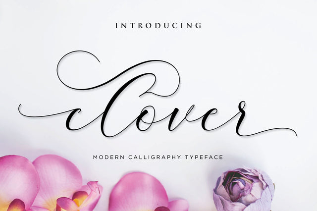 clover script Font Anastasia 