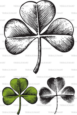 Clover with three leaves SVG TribaliumArtSF 