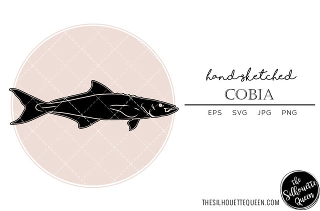 Cobia Hand sketched, hand drawn vector clipart SVG Loveleen Kaur 
