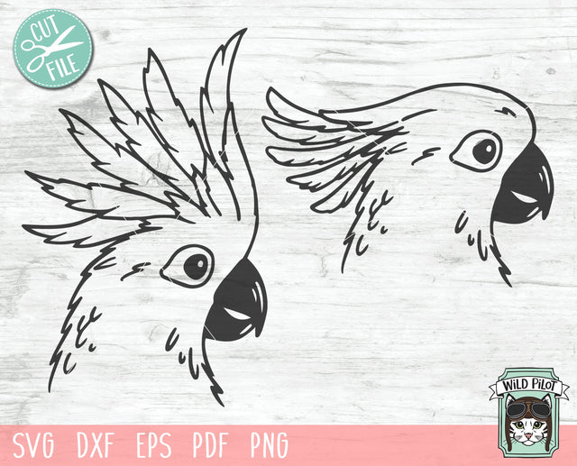 Cockatoo SVG File, Cockatoo Cut File, Animal Face SVG, Australia SVG, Cockatoo Face SVG, Animal SVG File, Tropical Bird SVG, Summer SVG File Active SVG Wild Pilot 
