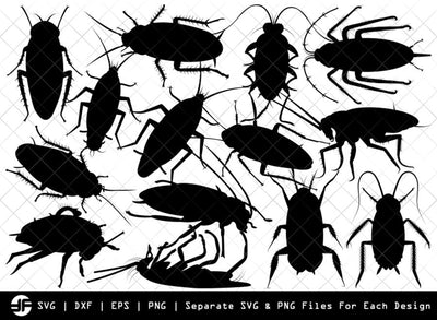 Cockroach SVG | Animal SVG | Silhouette Bundle | Cut File SVG ETC Craft 