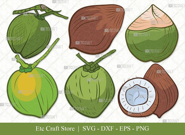 Coconut Clipart SVG Cut File | Fruit Svg | Coconut Drink Svg | Coconut Shell Svg | Tropical Drink | Bundle | Eps | Dxf | Png SVG ETC Craft 