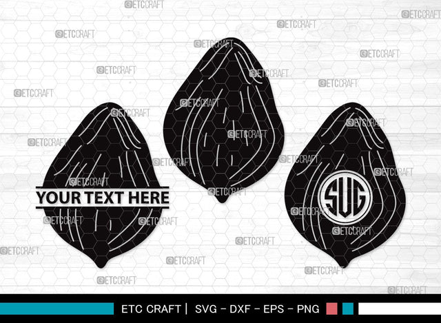 Coconut Monogram SVG Cut File | Fruit Svg | Coconut Drink Svg | Coconut Shell Svg | Tropical Drink | Coconut Clipart SVG ETC Craft 