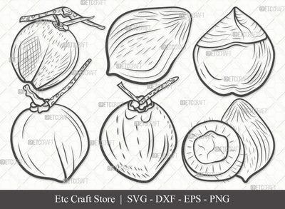 Coconut Outline SVG Cut File | Fruit Svg | Coconut Drink Svg | Coconut Shell Svg | Tropical Drink | Bundle | Eps | Dxf | Png SVG ETC Craft 