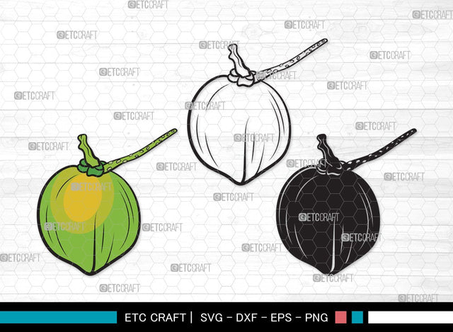 Coconut SVG Cut File | Fruit Svg | Coconut Drink Svg | Coconut Shell Svg | Tropical Drink | Coconut Clipart SVG ETC Craft 
