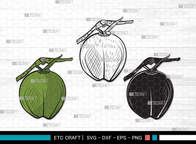 Coconut SVG Cut File | Fruit Svg | Coconut Drink Svg | Coconut Shell Svg | Tropical Drink | Coconut Clipart SVG ETC Craft 