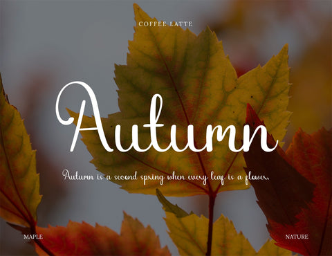 Coffee Latte Script Font inferno.studio3 