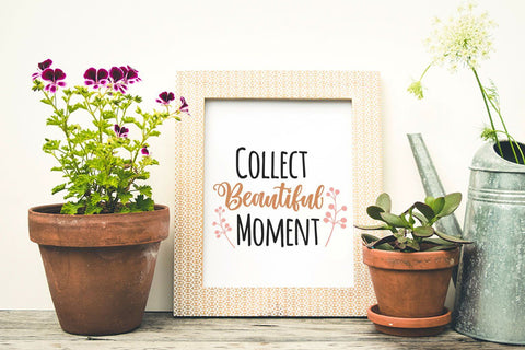 Collect Beautiful Moment - SVG Cut Files SVG Creakokun Studio 