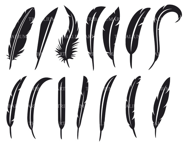 Collection of feathers SVG TribaliumArtSF 